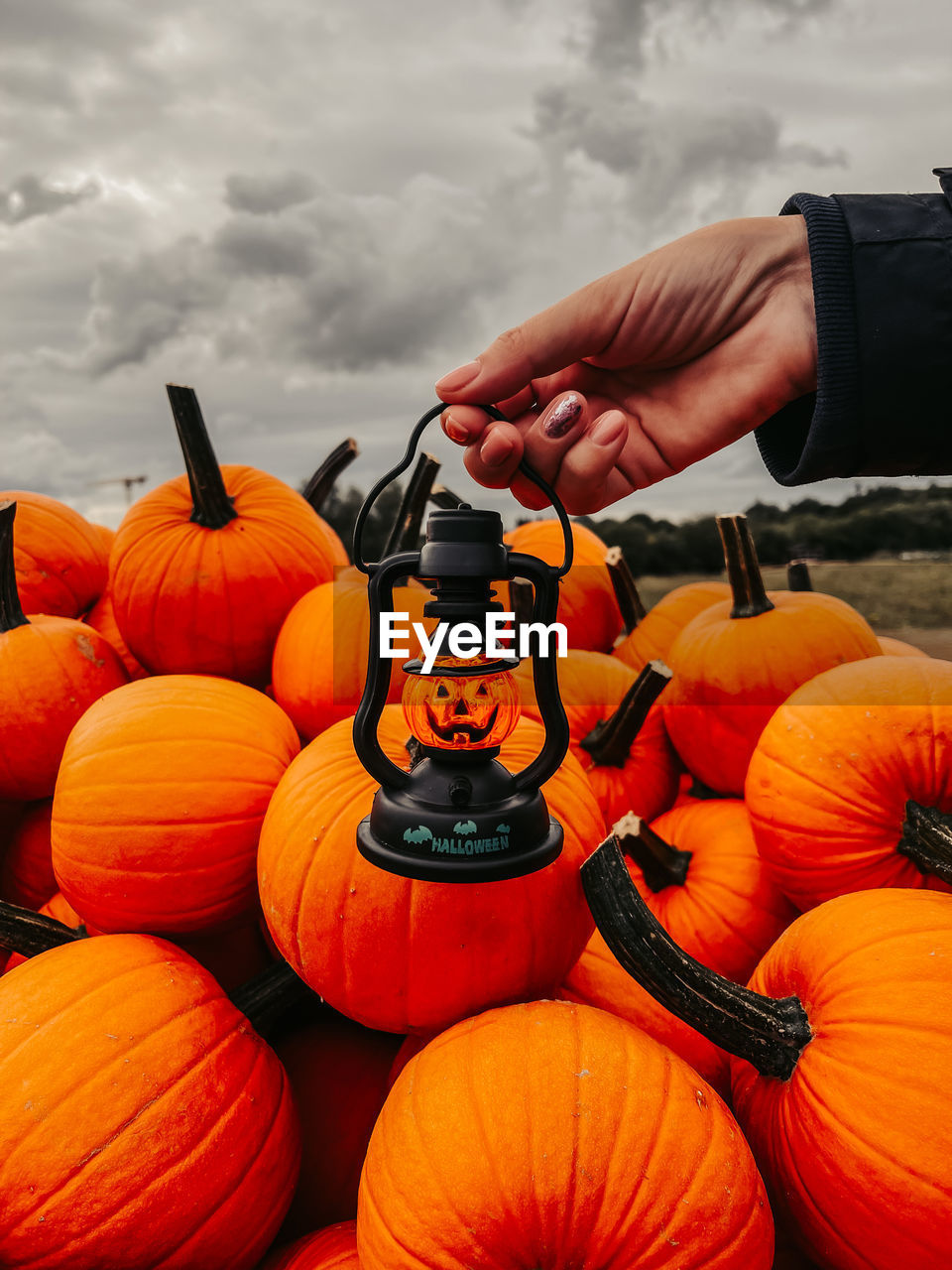 FULL FRAME SHOT OF PUMPKINS ON BARBECUE GRILL AGAINST ORANGE WALL