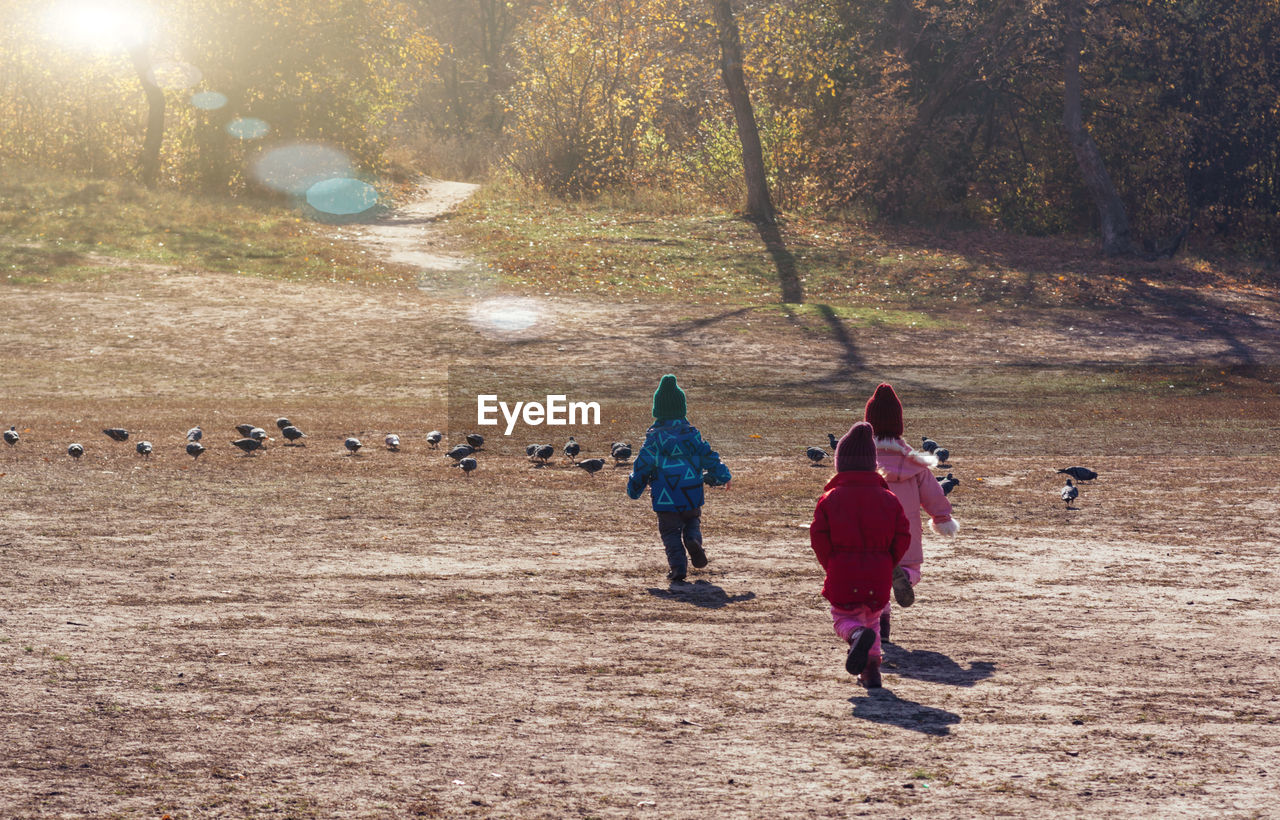 Happy children running after birds, outdoor activities. people from the back. copy space