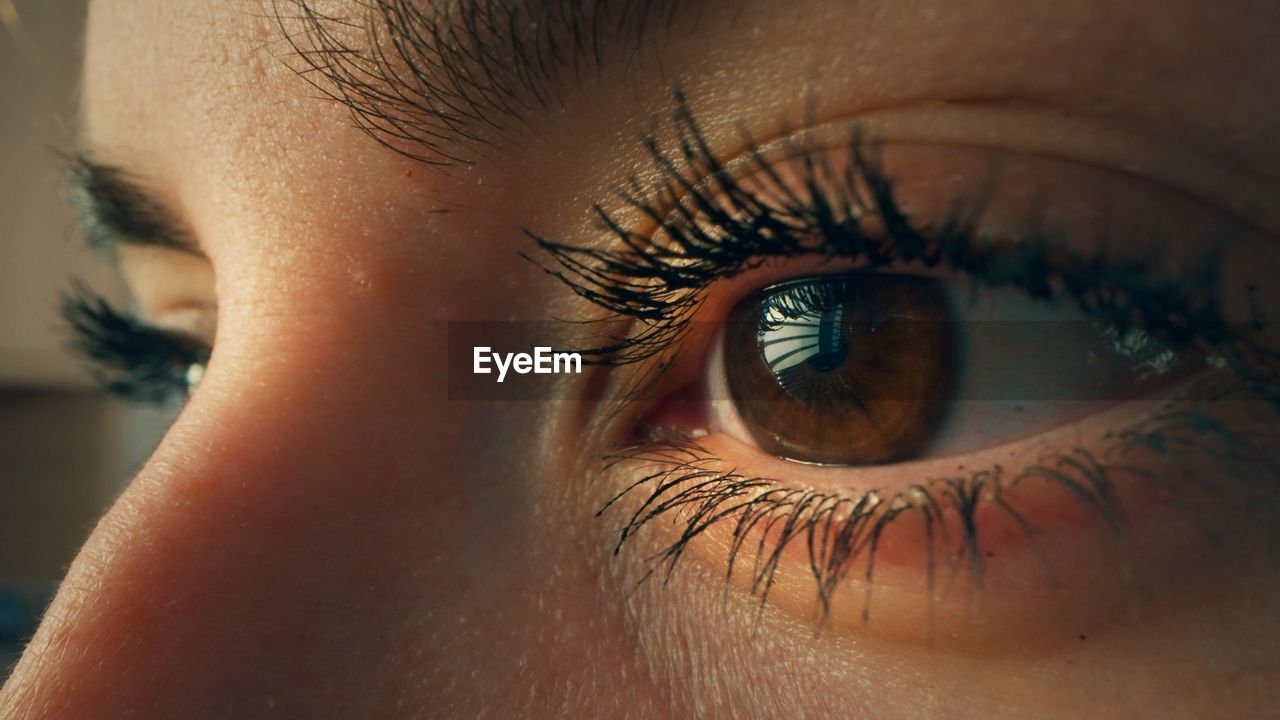 Macro shot of woman's eye. businesswoman in her office working on the laptop. concentrated look.