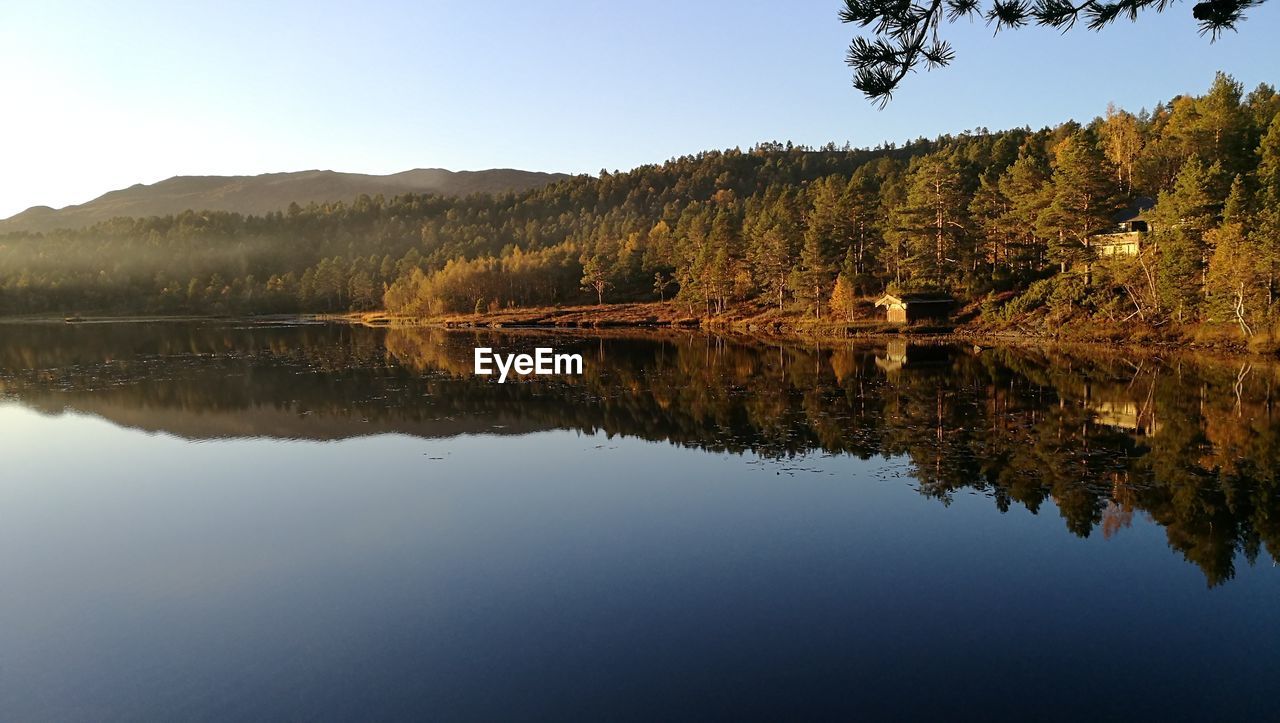 Reflection of trees in calm lake against clear sky