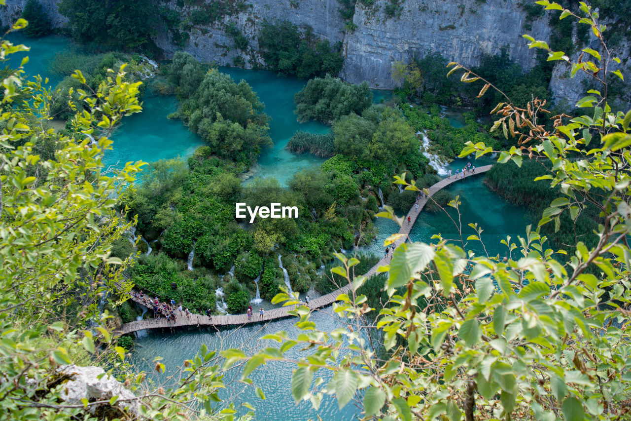 high angle view of plants growing on mountain