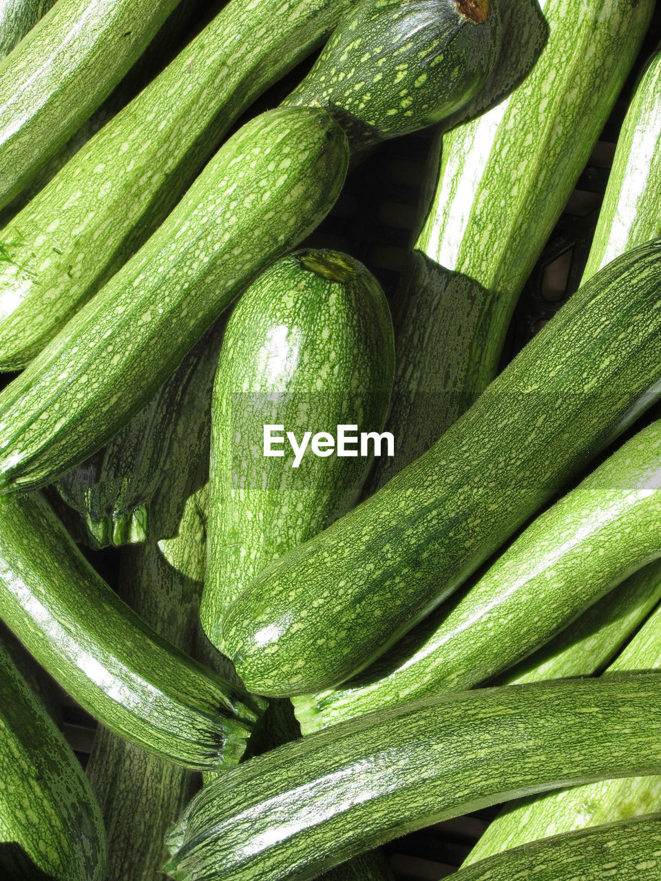 Zucchini background