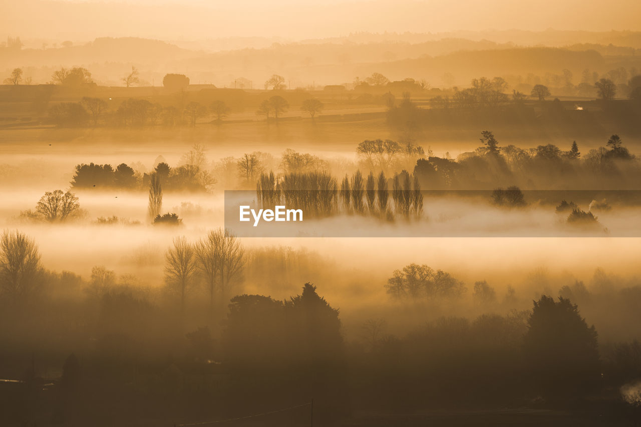 Trees on landscape against sky during sunset mist 