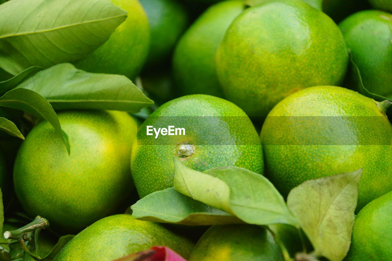 FULL FRAME SHOT OF FRUITS FOR SALE