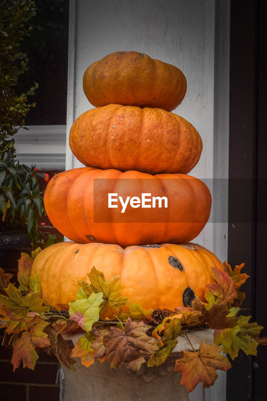 Close-up of pumpkin pumpkins during autumn