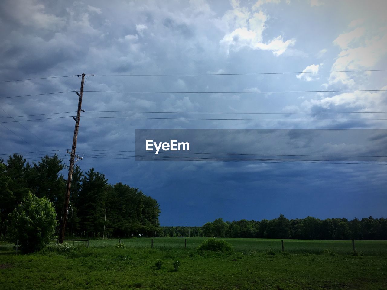 TREES ON GRASSY FIELD AGAINST CLOUDY SKY