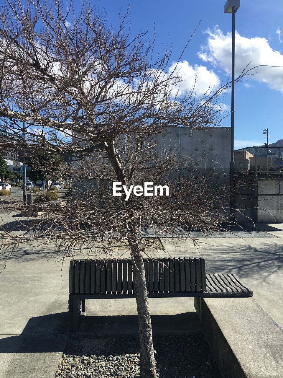VIEW OF EMPTY BENCH ON SUNNY DAY