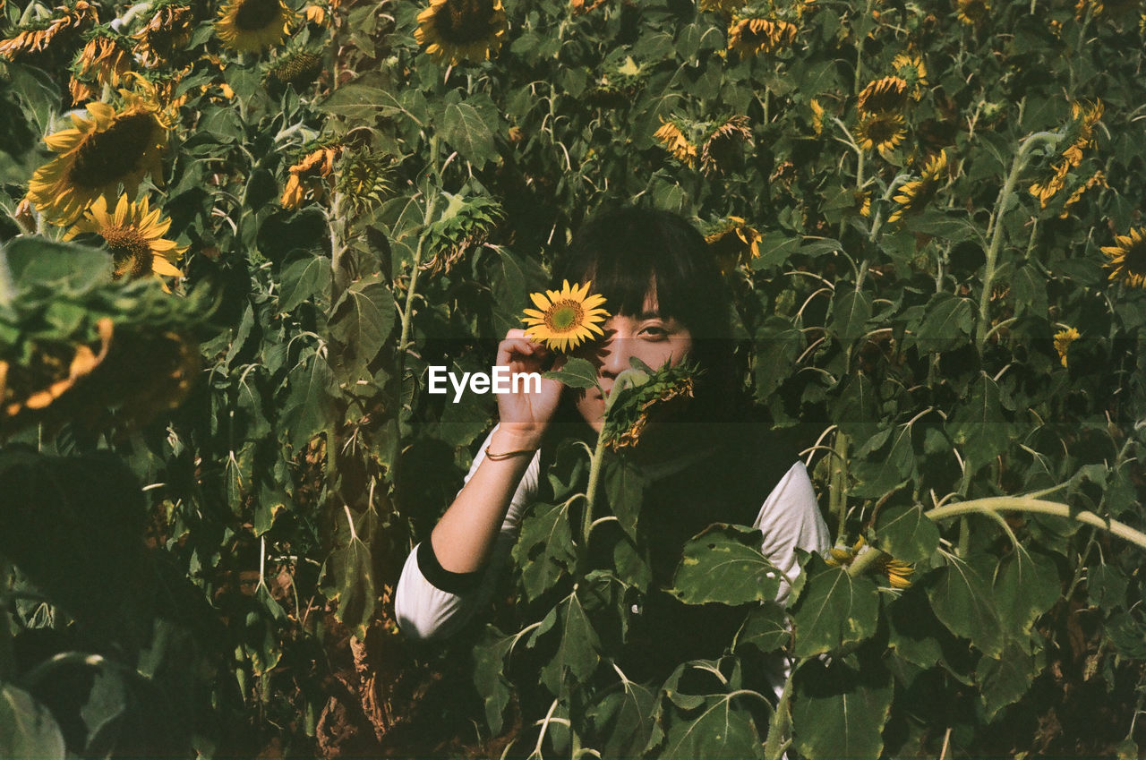 Woman holding sunflower