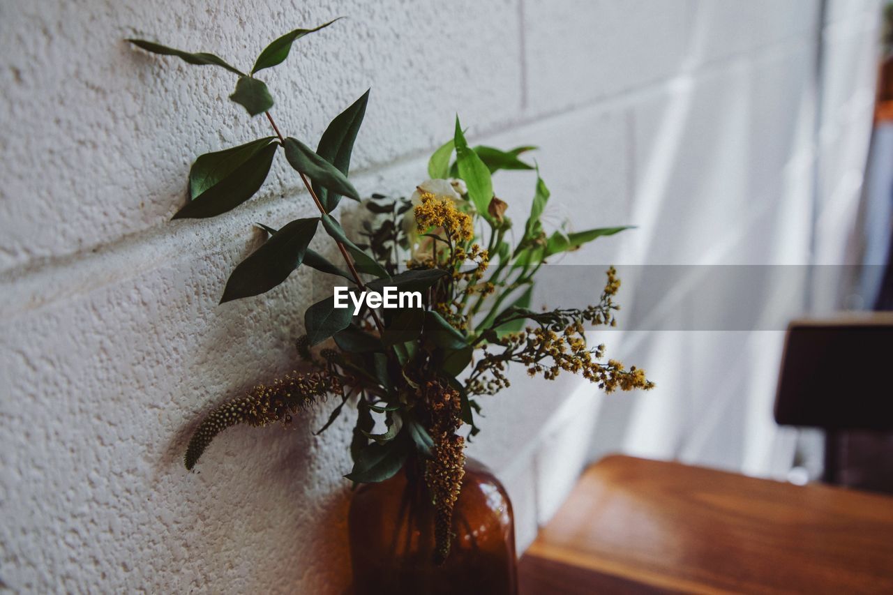 CLOSE-UP OF POTTED PLANT BY WALL AT HOME