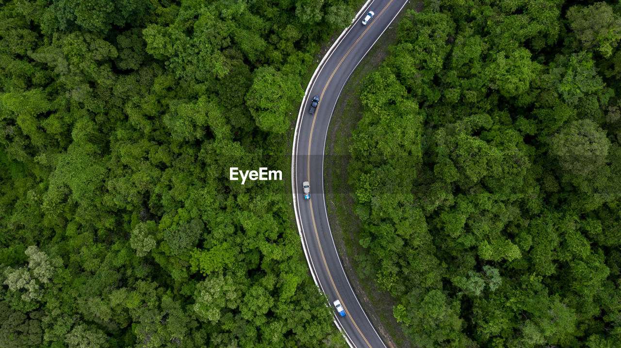 High angle view of road amidst trees in forest