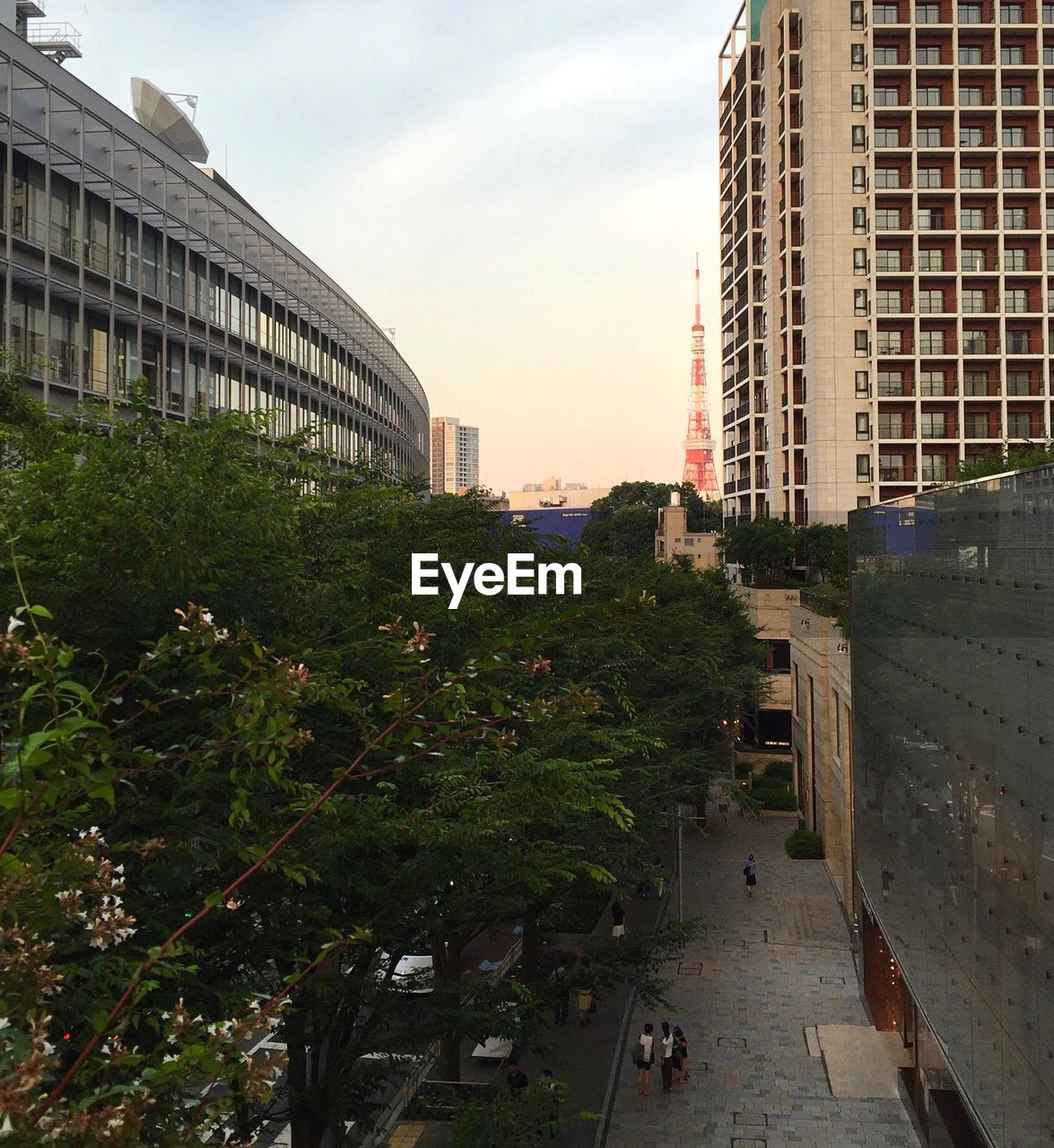 BUILDINGS IN CITY AGAINST SKY