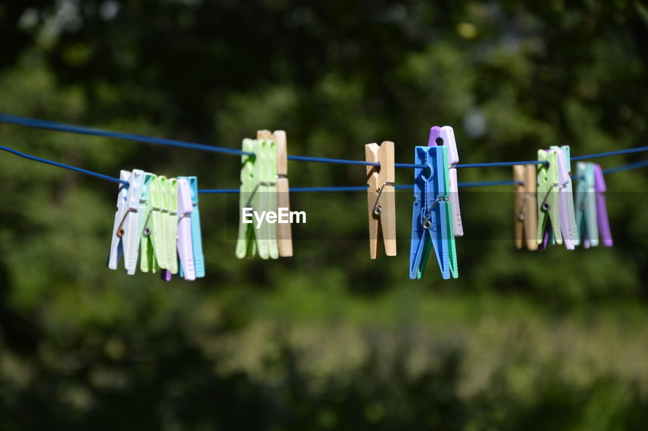 hanging, clothesline, clothespin, laundry, drying, clothing, rope, green, chores, group of objects, textile, housework, no people, nature, focus on foreground, in a row, tree, washing, light, day, blue, domestic life, outdoors, plant, multi colored, string, medium group of objects, hygiene, cleaning, variation, coathanger, side by side, group, white, leaf, grass