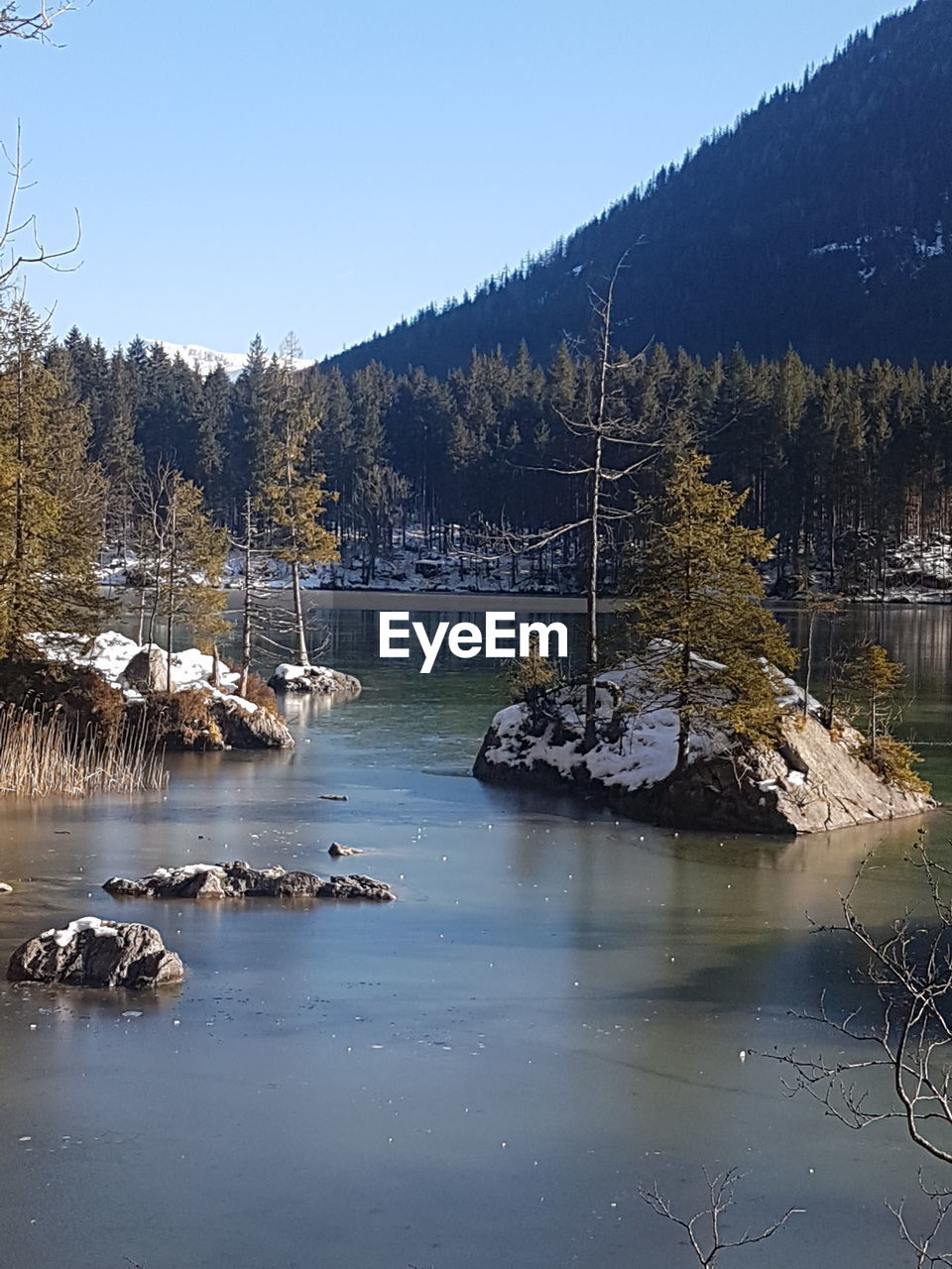 SCENIC VIEW OF LAKE BY TREES AGAINST CLEAR SKY