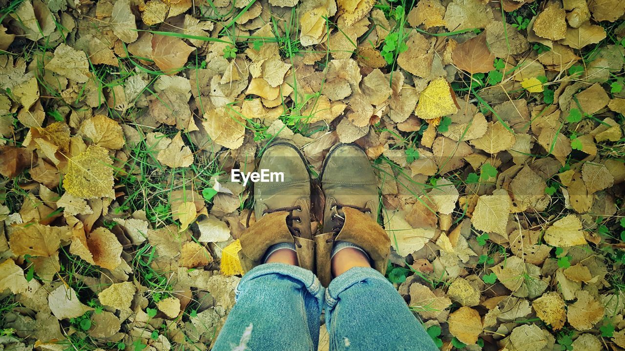 Low section of person standing on fallen autumn leaves