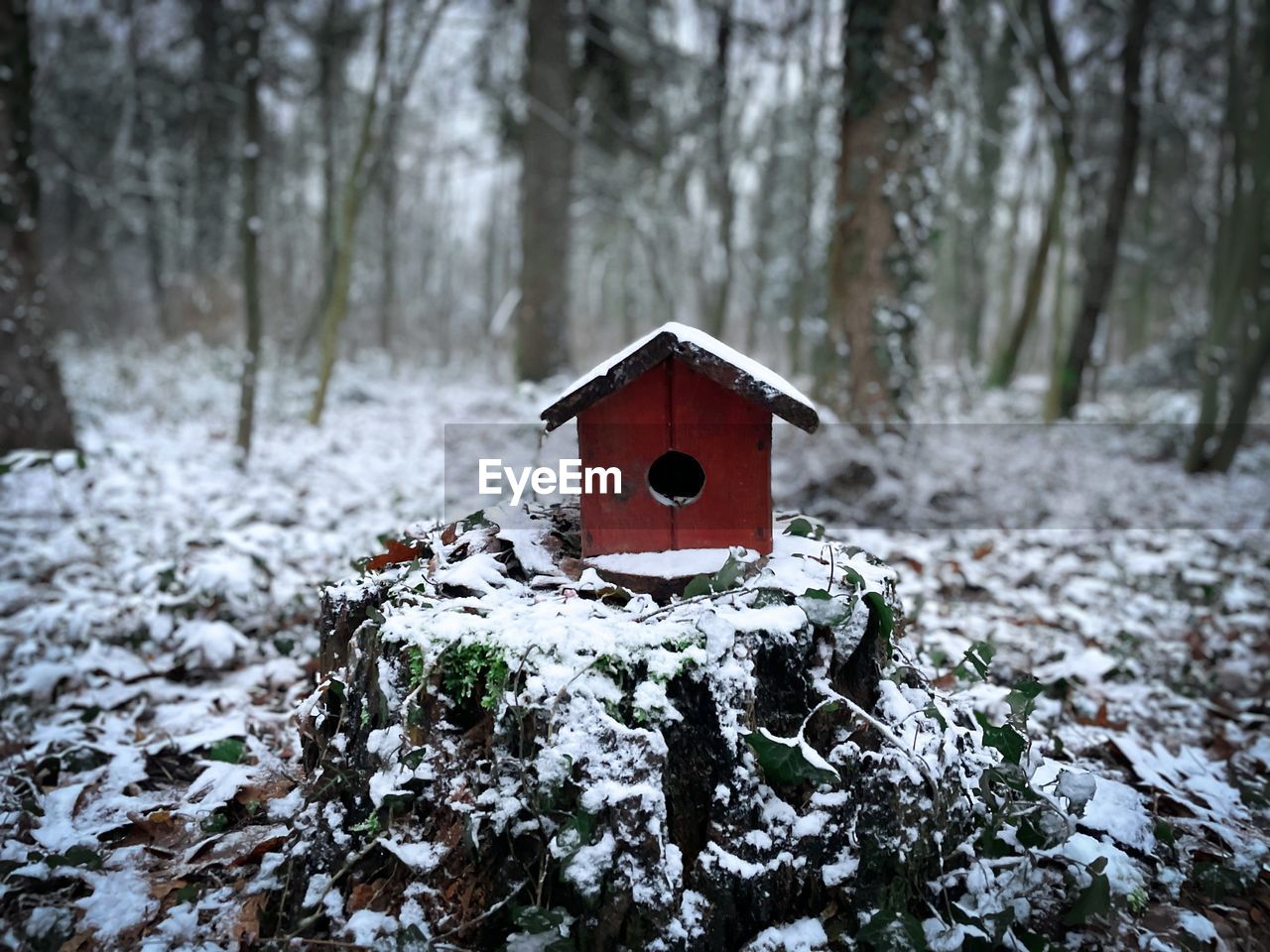Wooden birdhouse in the forest during winter