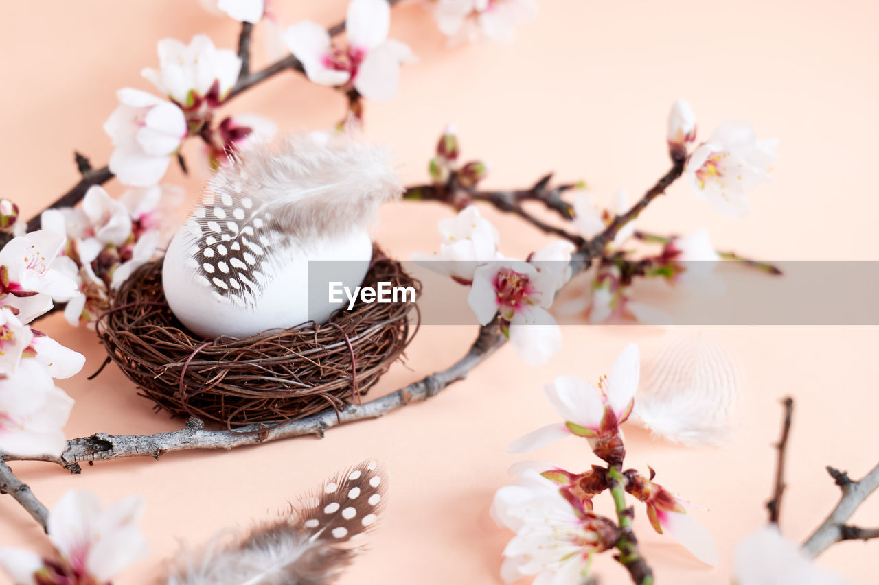 Stylish easter eggs with spring sprigs and feathers in the nest on light pink pastel background. 