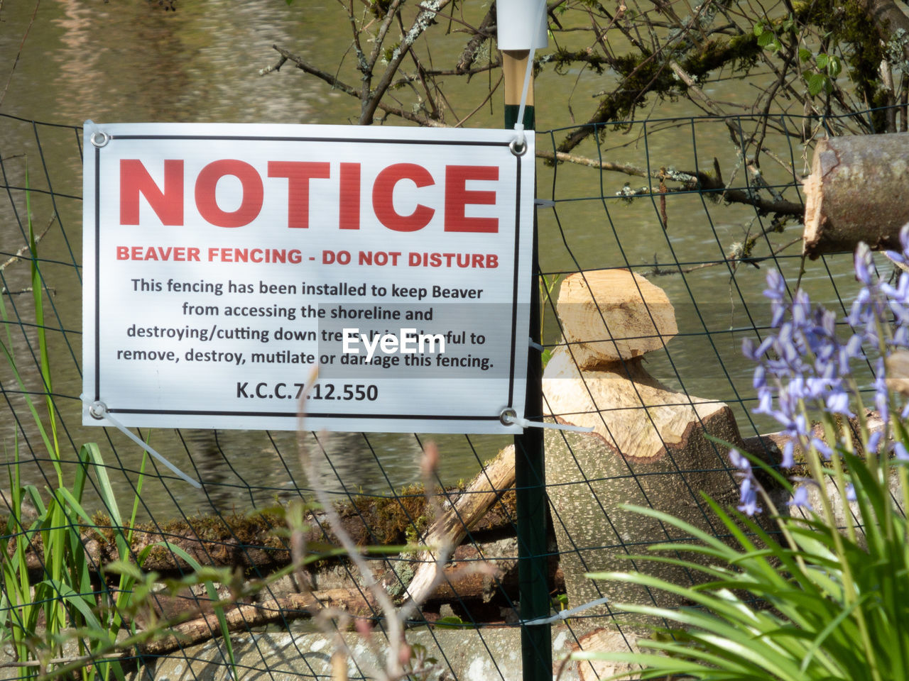 CLOSE-UP OF SIGN BOARD BY TREE