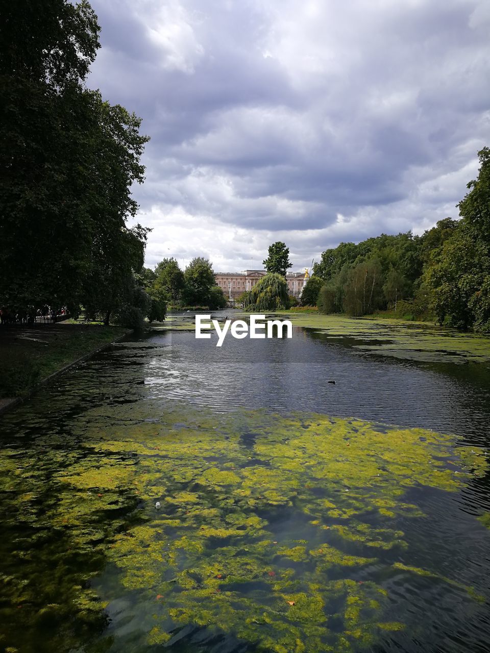 SCENIC VIEW OF LAKE