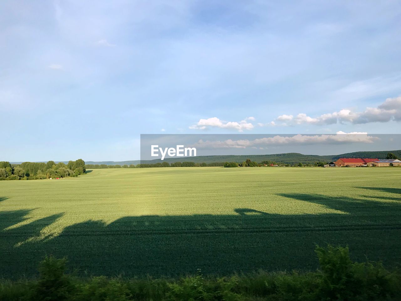 SCENIC VIEW OF AGRICULTURAL LANDSCAPE AGAINST SKY