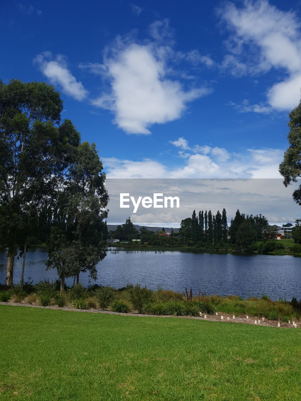 SCENIC VIEW OF LAKE AND TREES AGAINST SKY