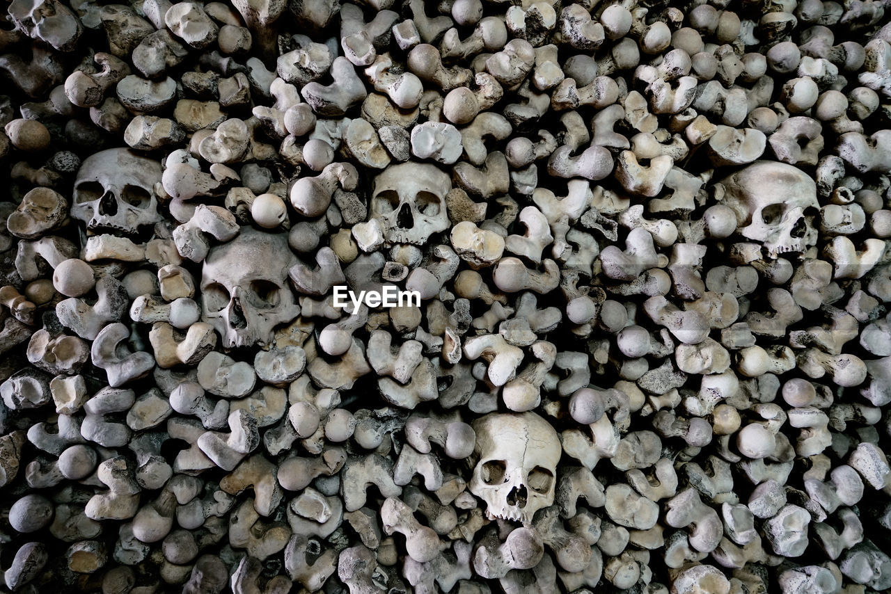 Full frame shot of bones and skulls