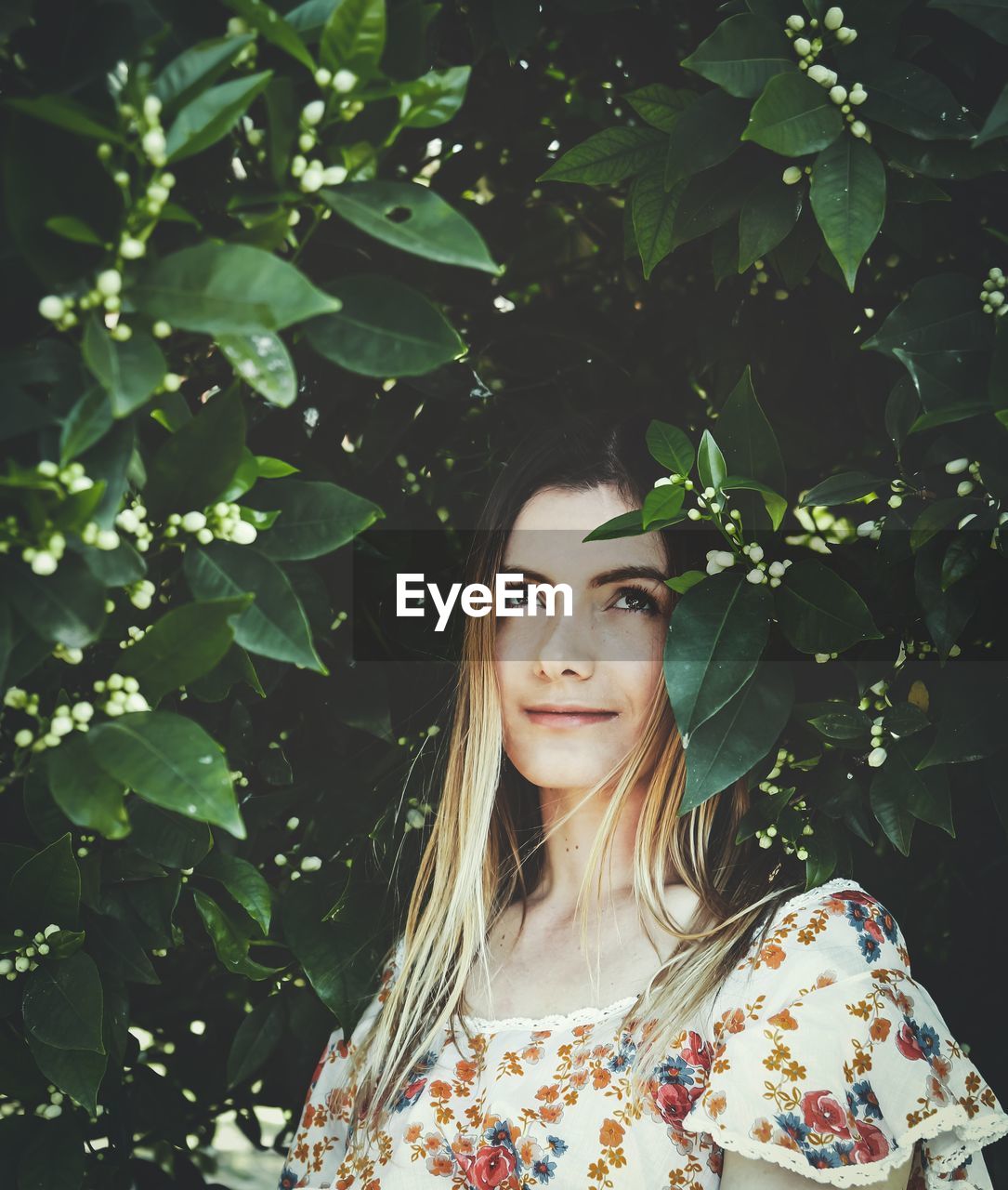 PORTRAIT OF BEAUTIFUL YOUNG WOMAN WITH PLANTS IN TREE