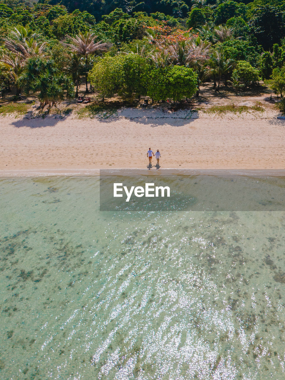 rear view of woman standing at beach