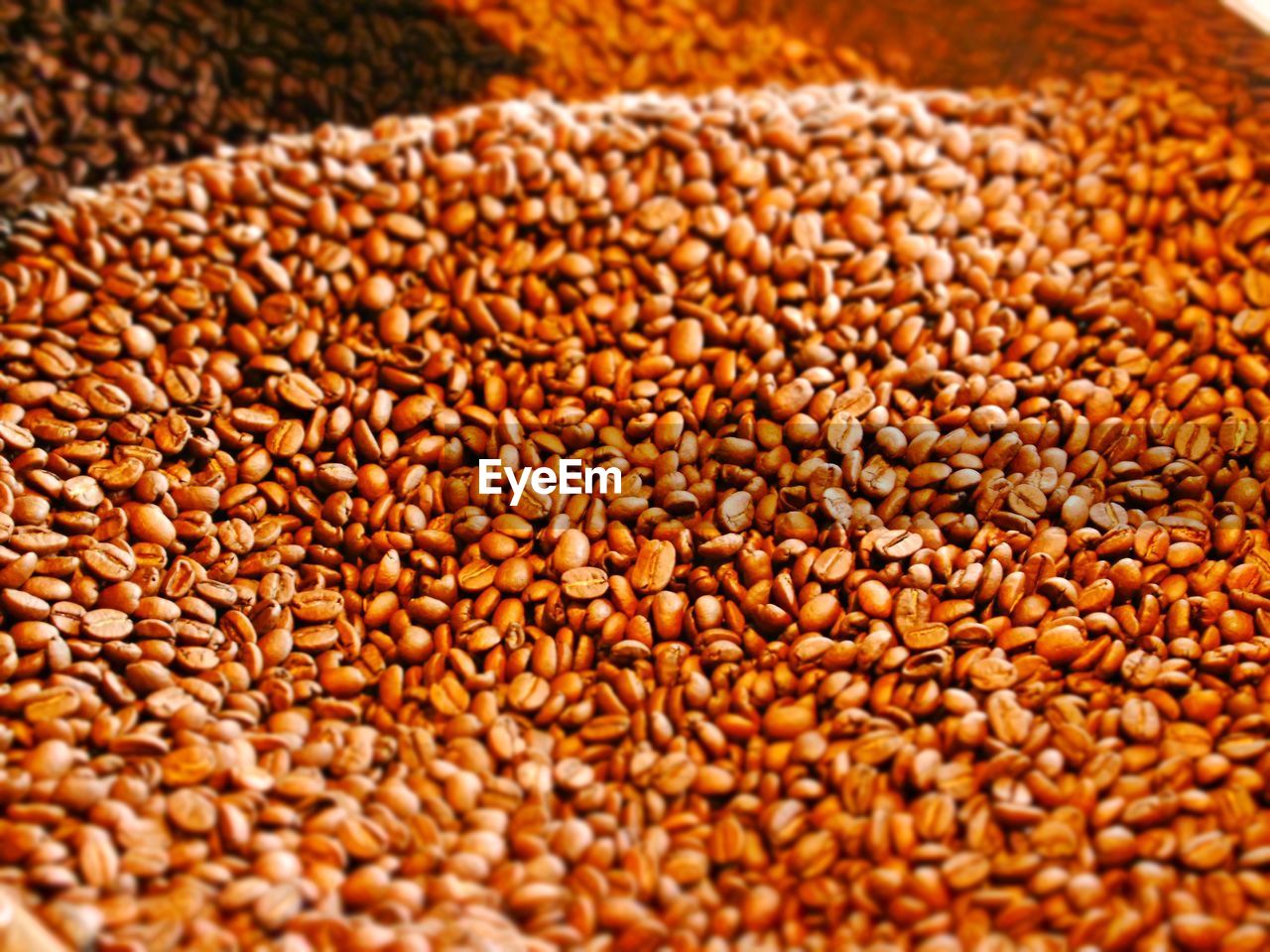 CLOSE-UP OF ROASTED BEANS