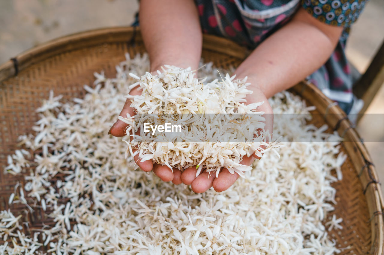 food, food and drink, one person, freshness, hand, rice - food staple, healthy eating, cuisine, wellbeing, indoors, focus on foreground, dish, adult, raw food, close-up, abundance, holding, business, day