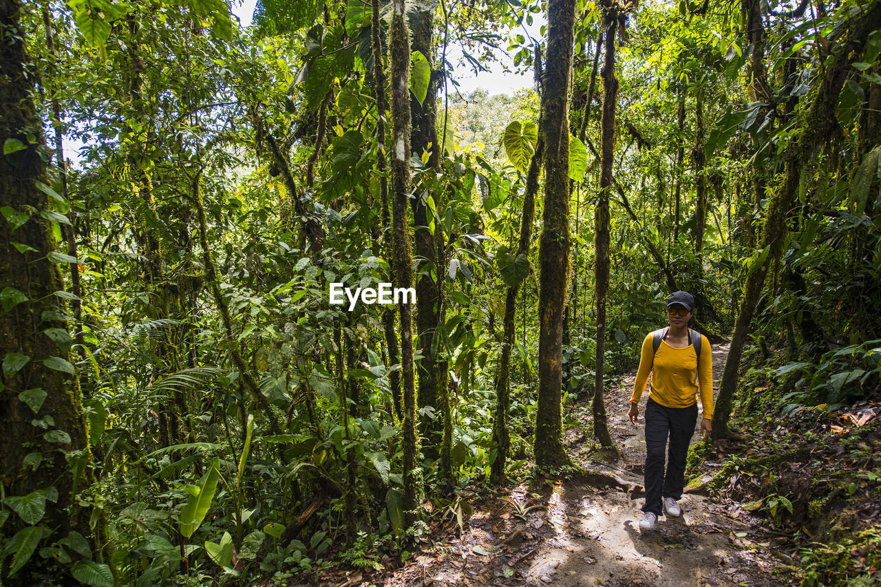 Woman exploring the rainforest in mindo, pichincha, ecuador