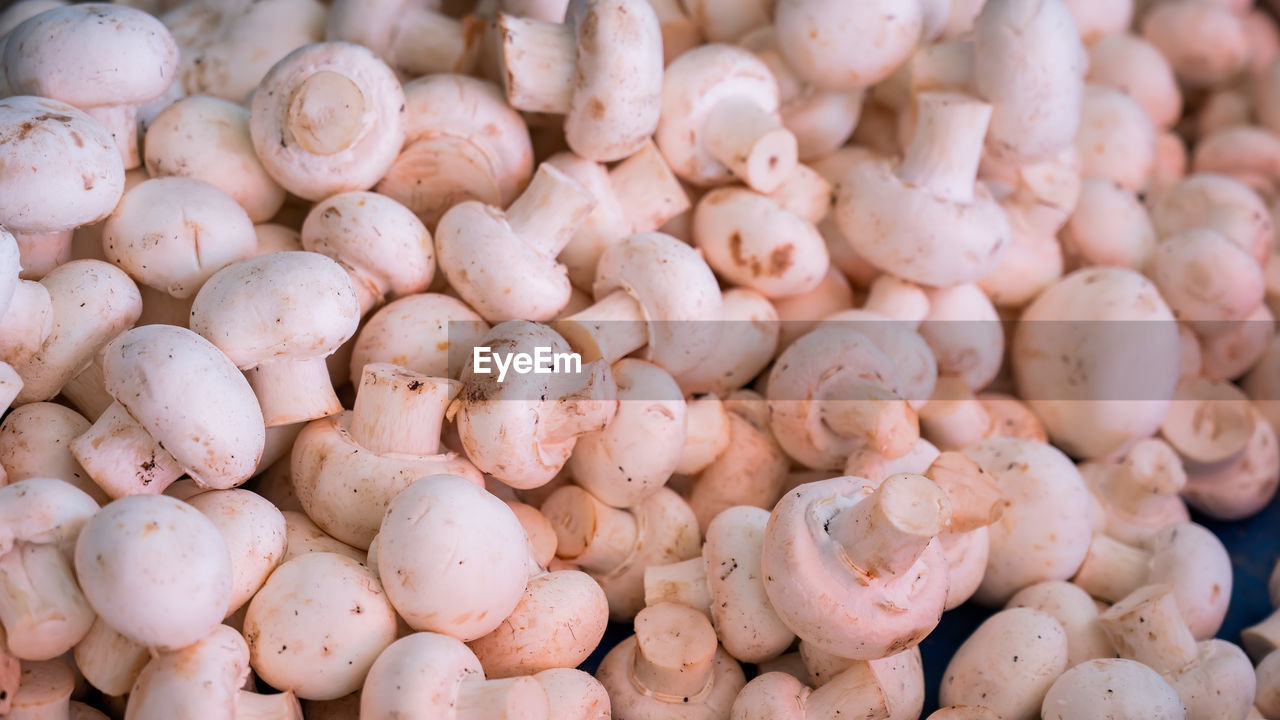 FULL FRAME SHOT OF CARROTS FOR SALE