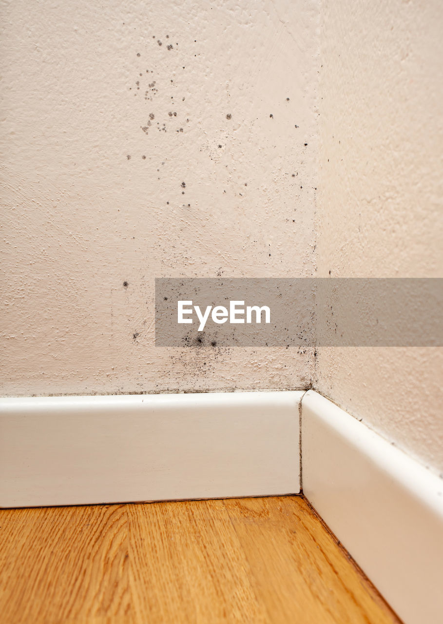 Close up of black mold in the room corner.