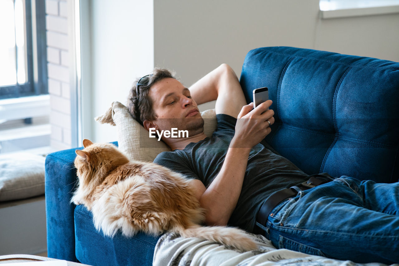 Adult man with smartphone and red furry cat spending a lazy afternoon on a blue couch. cozy home