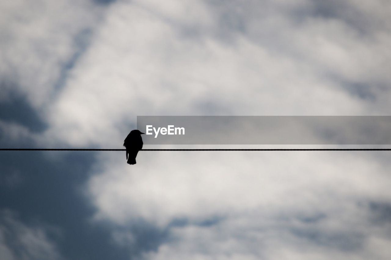 Low angle view of power lines against cloudy sky