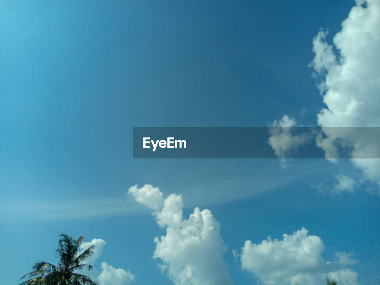 LOW ANGLE VIEW OF BLUE SKY AND TREES AGAINST CLOUDS