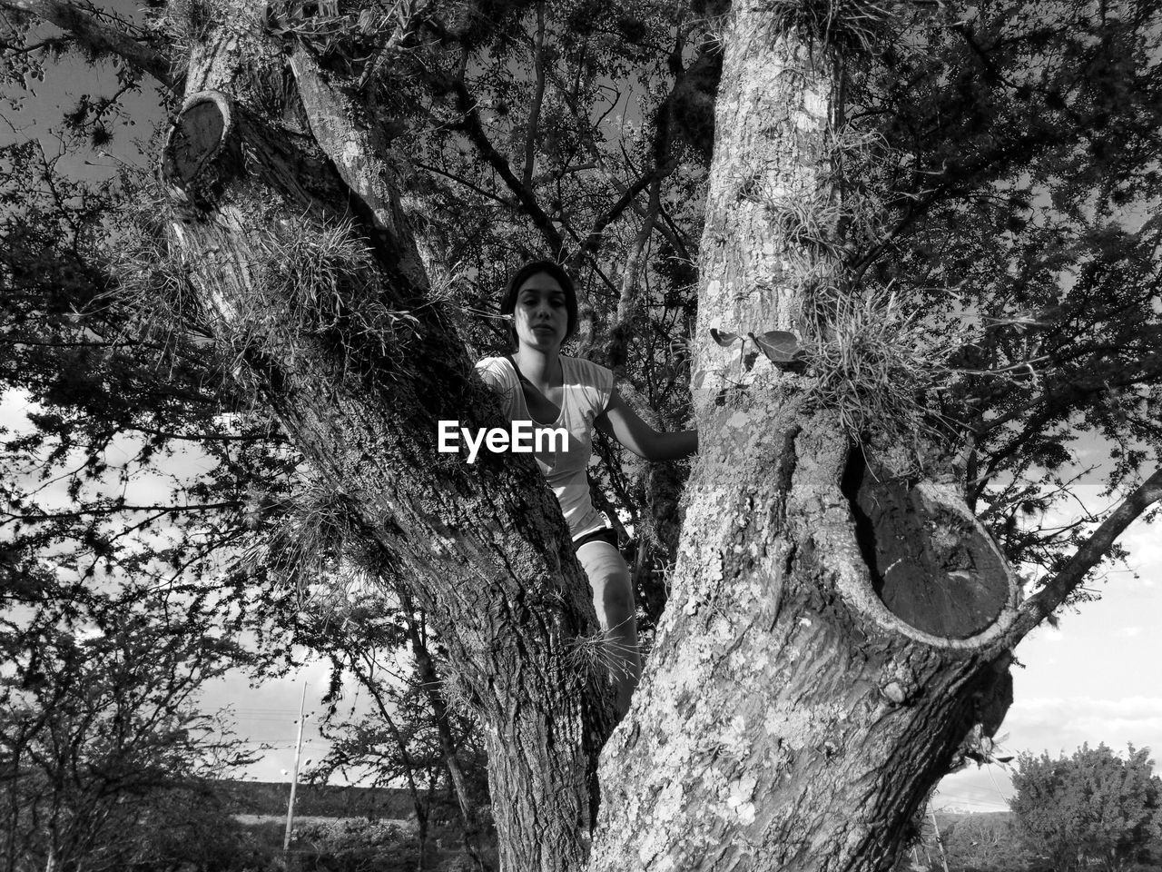 Portrait of teenage girl sitting on tree trunk