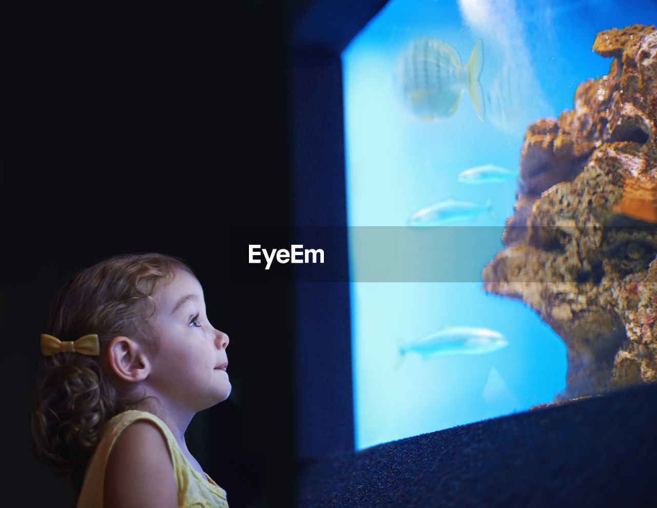 close-up of young woman swimming in aquarium