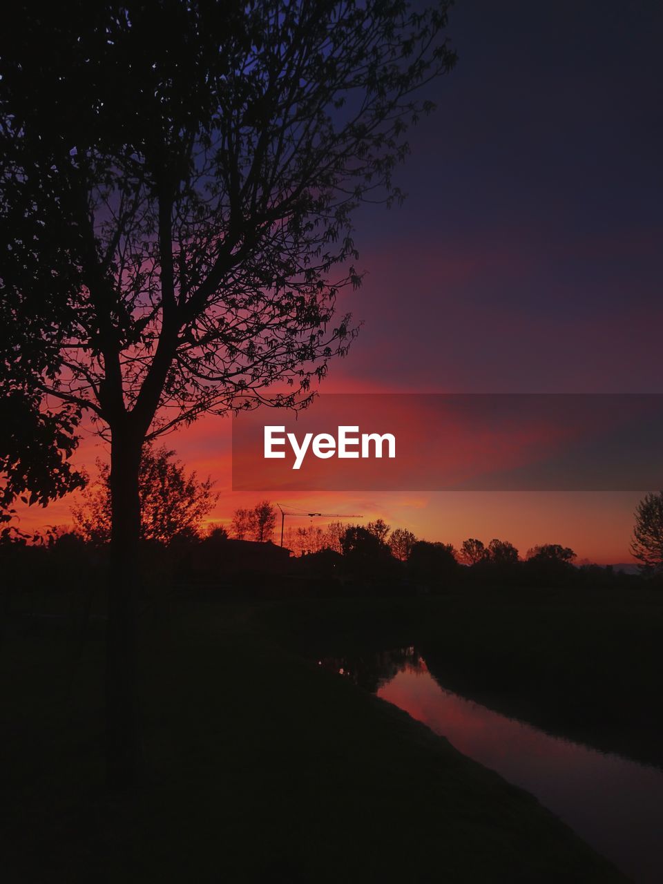 SILHOUETTE TREE ON FIELD AGAINST ORANGE SKY