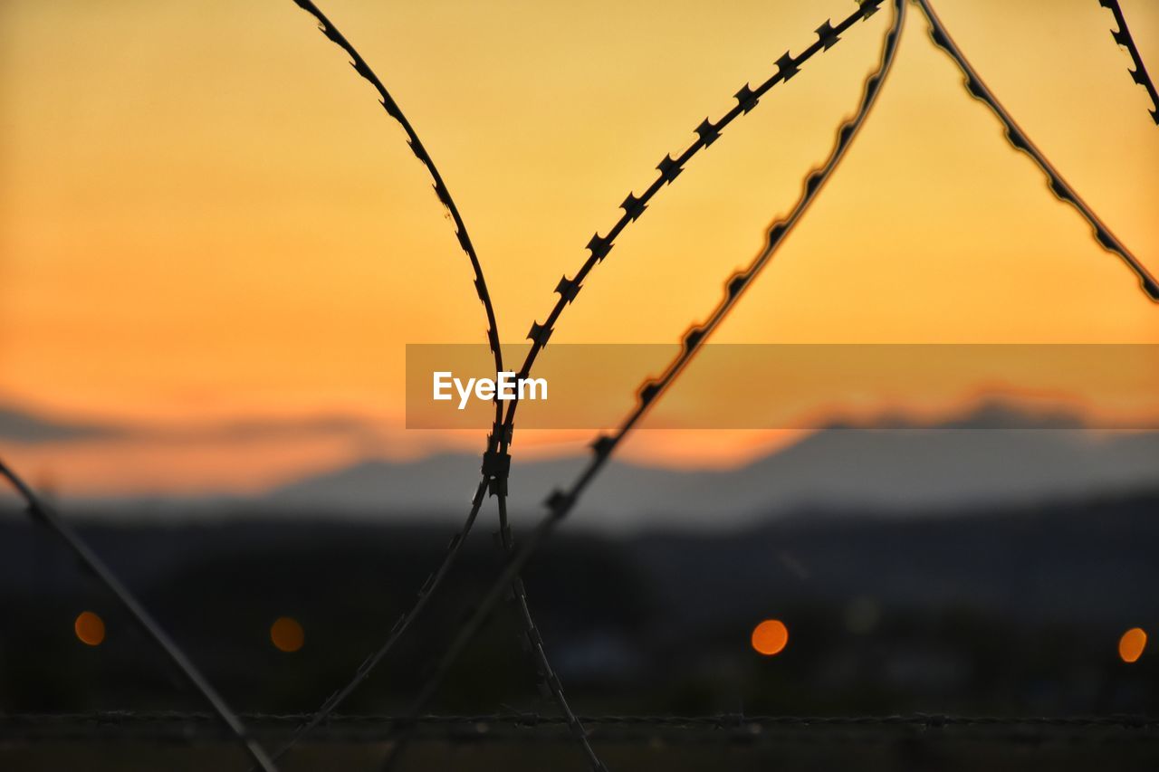 Close-up of silhouette plant against sky during sunset