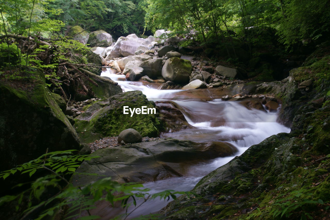 STREAM AMIDST ROCKS IN FOREST