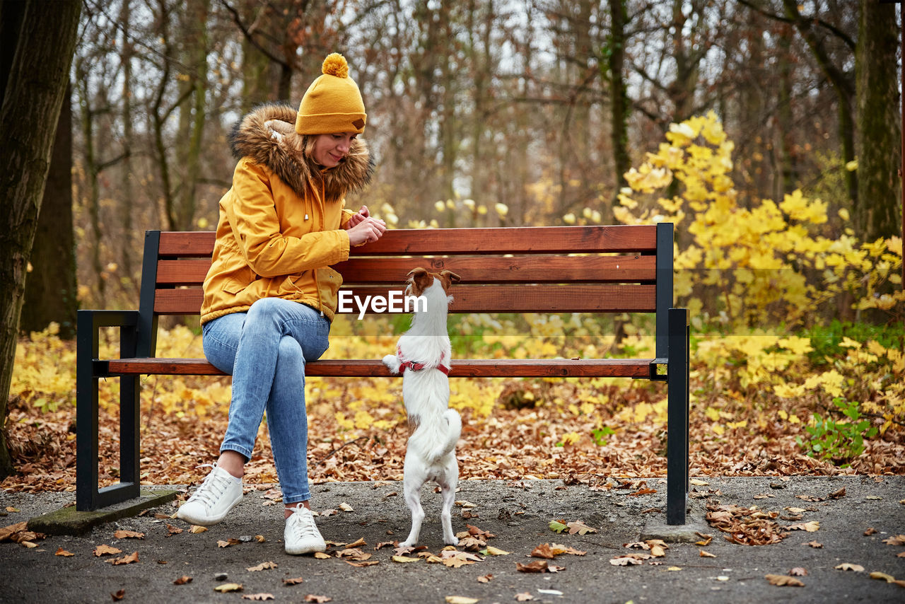 Woman with dog walk in autumn park