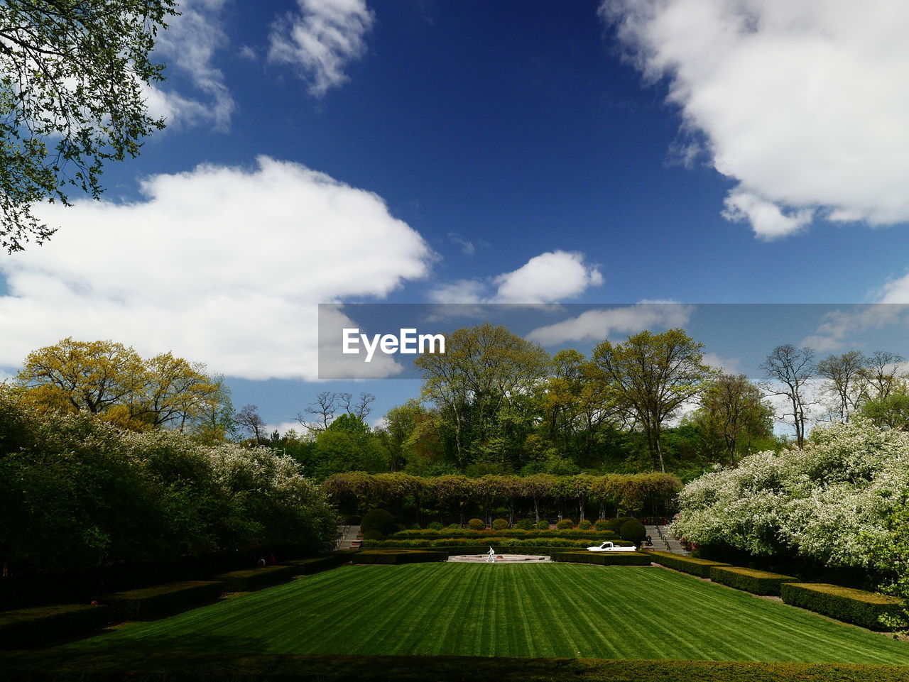 plant, tree, sky, grass, cloud, green, nature, lawn, flower, beauty in nature, growth, tranquility, landscape, environment, scenics - nature, rural area, no people, tranquil scene, garden, field, day, meadow, sunlight, formal garden, hill, outdoors, ornamental garden, land, blue, rural scene, leaf, park, idyllic, summer, non-urban scene, park - man made space