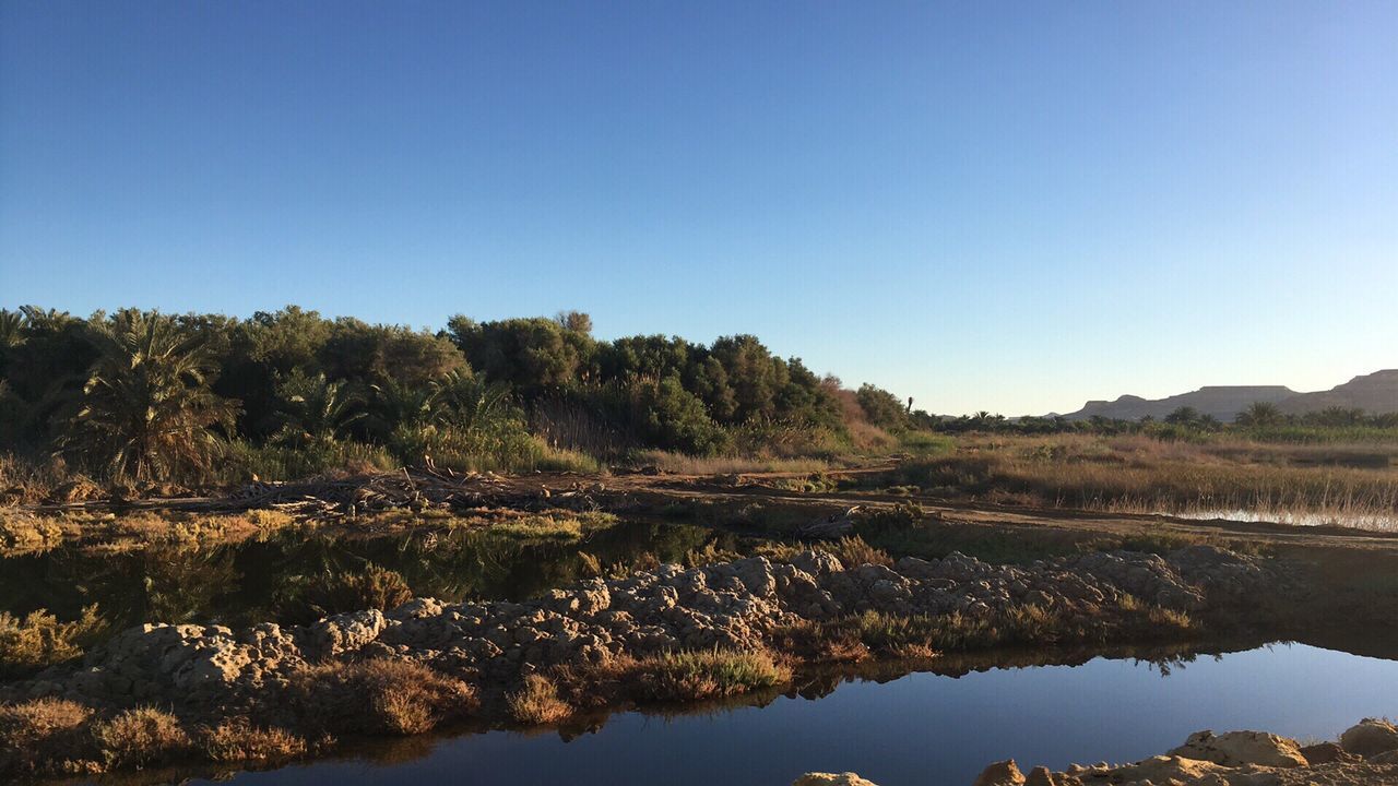 Scenic view of lake against clear blue sky
