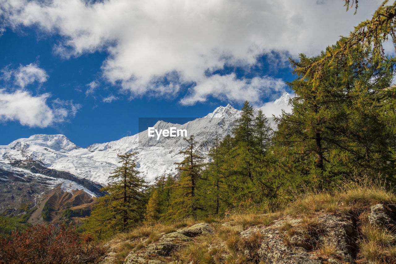 Hiking in the swiss alps