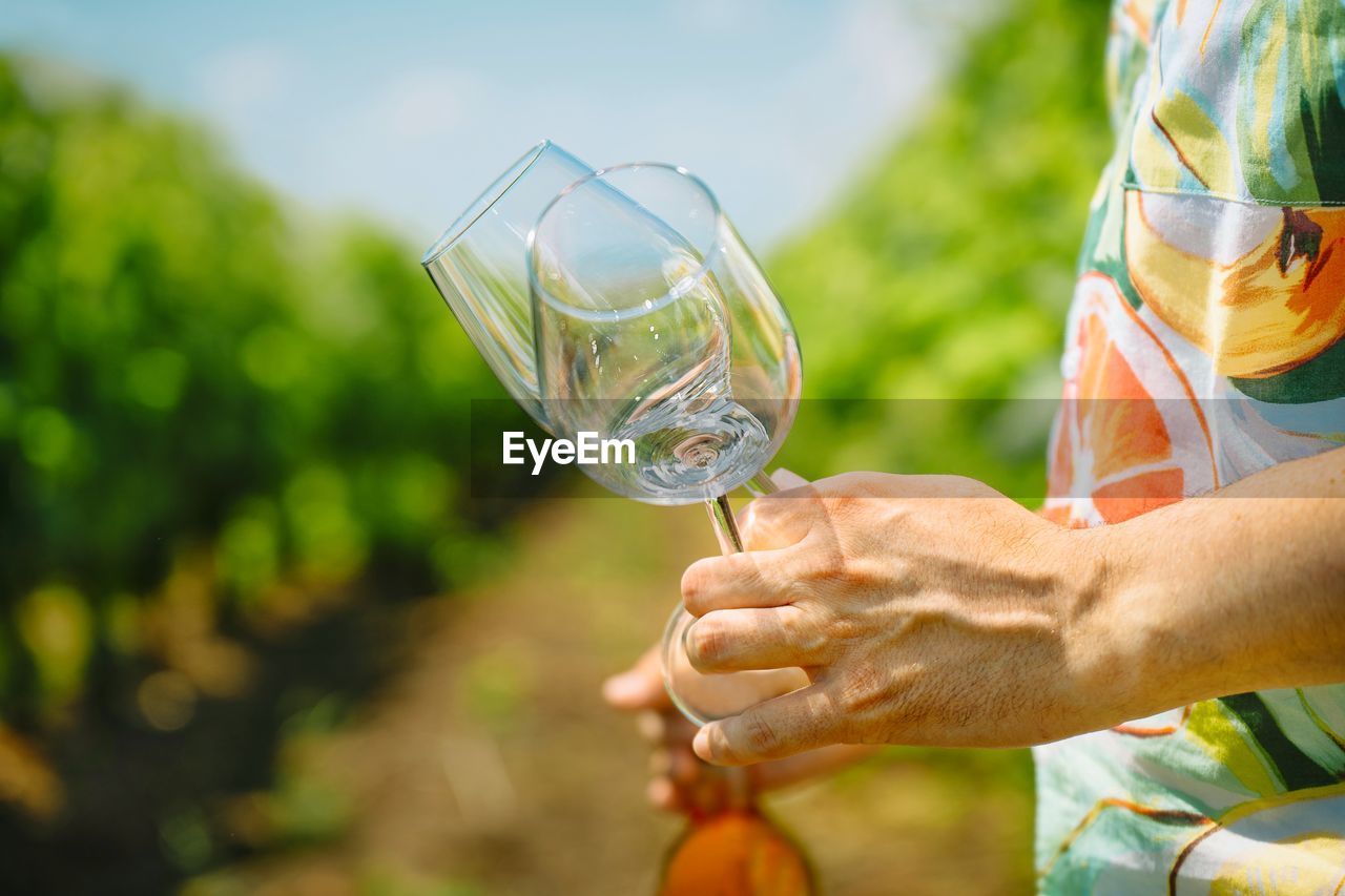 Man holding wine glasses and bottle in vineyard