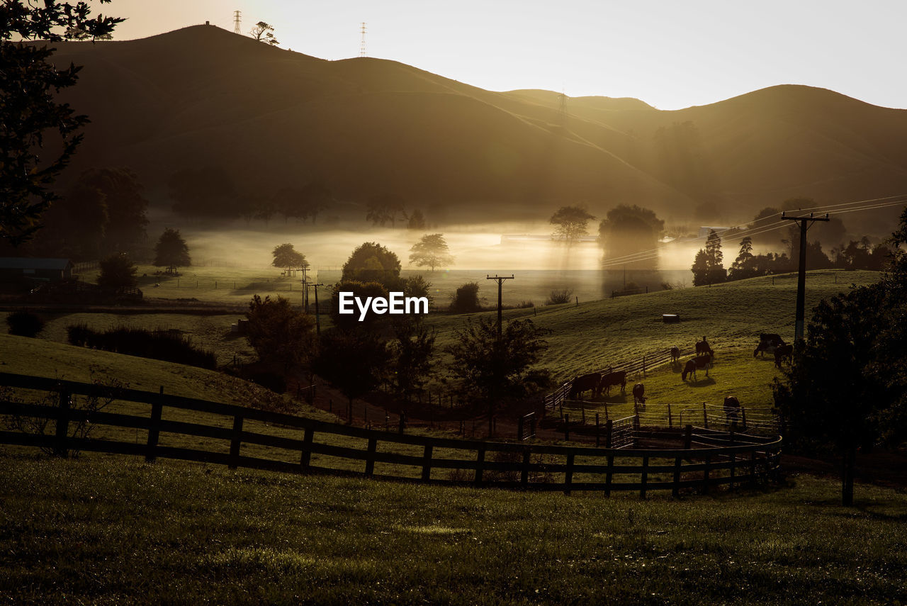 Scenic view of landscape during sunrise