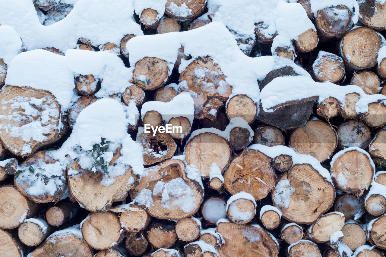 FULL FRAME SHOT OF FIREWOOD