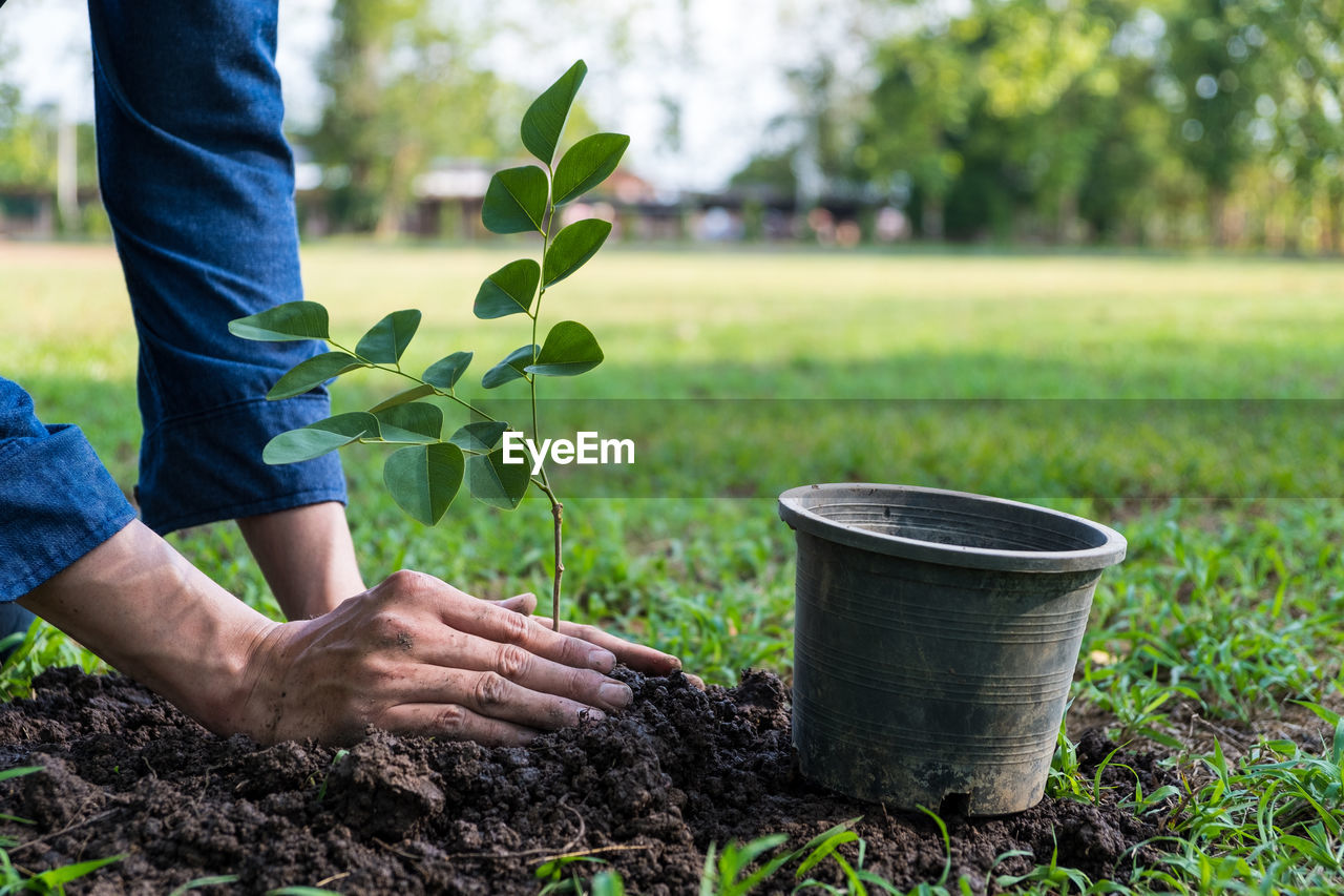 Close-up of man planting plant in park