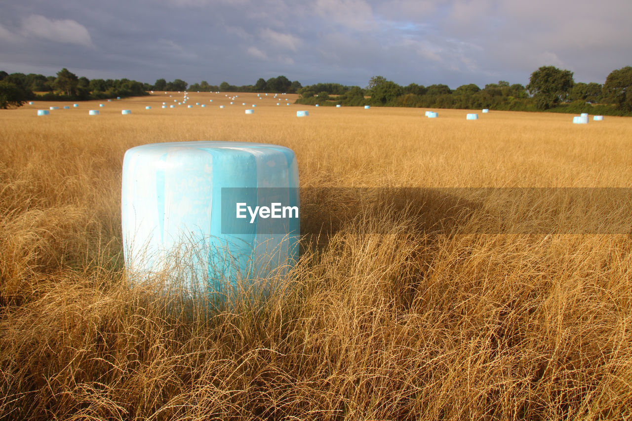 landscape, field, plant, environment, land, grass, agriculture, sky, rural scene, nature, hay, rural area, cloud, crop, prairie, bale, farm, cereal plant, no people, straw, outdoors, scenics - nature, horizon, morning, day, harvest, harvesting, tranquility, summer, beauty in nature, soil, food