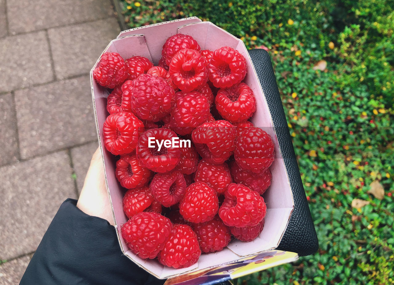 HIGH ANGLE VIEW OF HAND HOLDING STRAWBERRIES IN CONTAINER